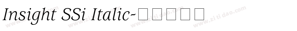 Insight SSi Italic字体转换
